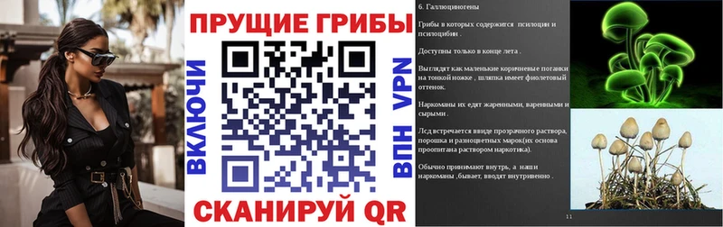 наркота  Бабушкин  Галлюциногенные грибы Psilocybe 